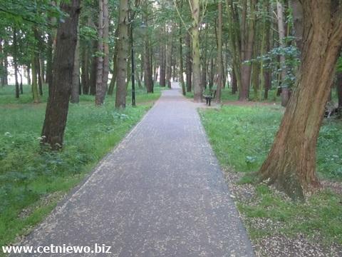 park Władysławowo Cetniewo